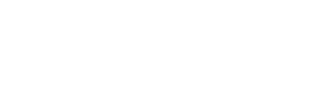 ActiveAid logo